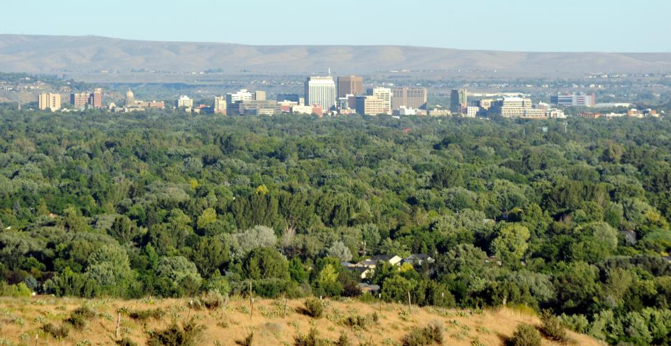 DOWNTOWN-FROM-EAST-RIDGE