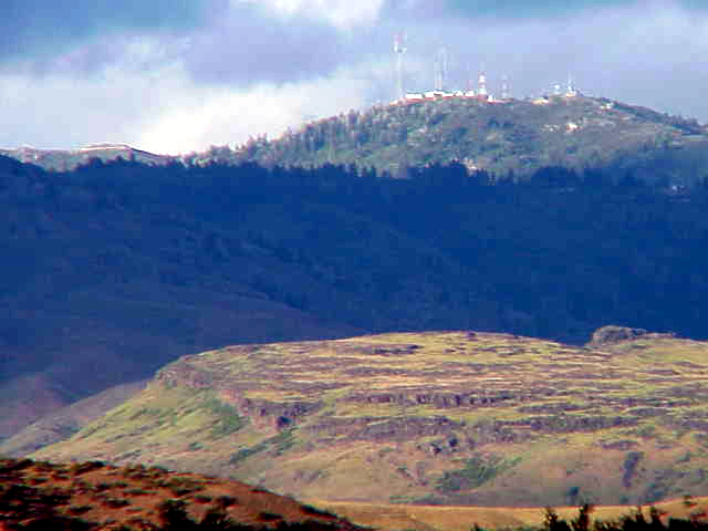 BOGUS VIEW