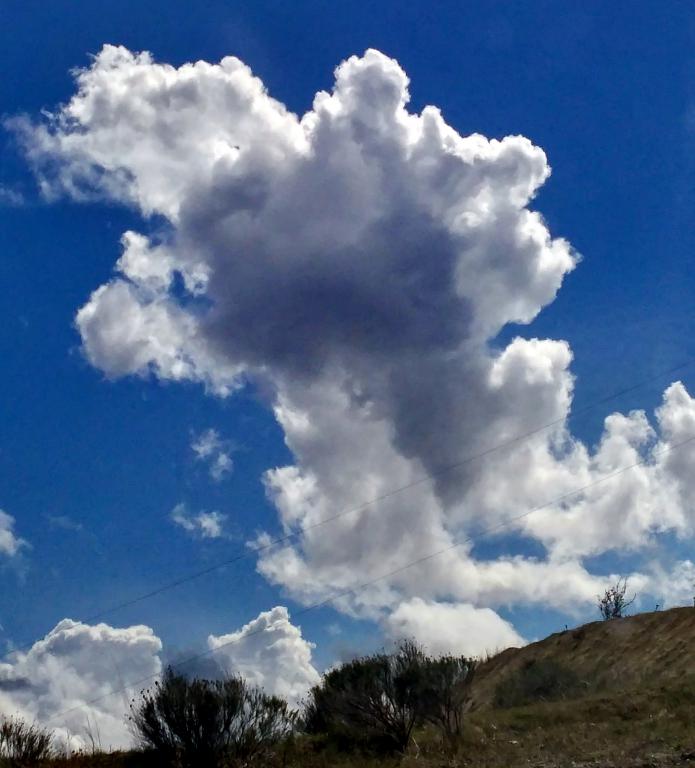 RAIN-CLOUD