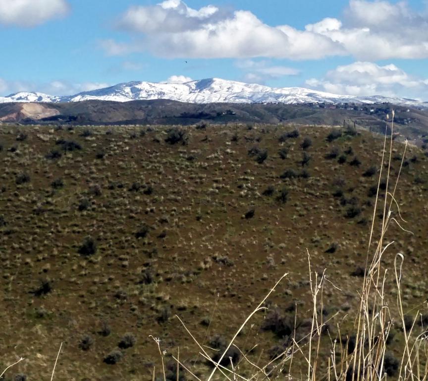 SKI-AREA-20-MILES